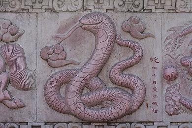 《艾尔登法环》全新配图 忠诚的狼会攻击敌人